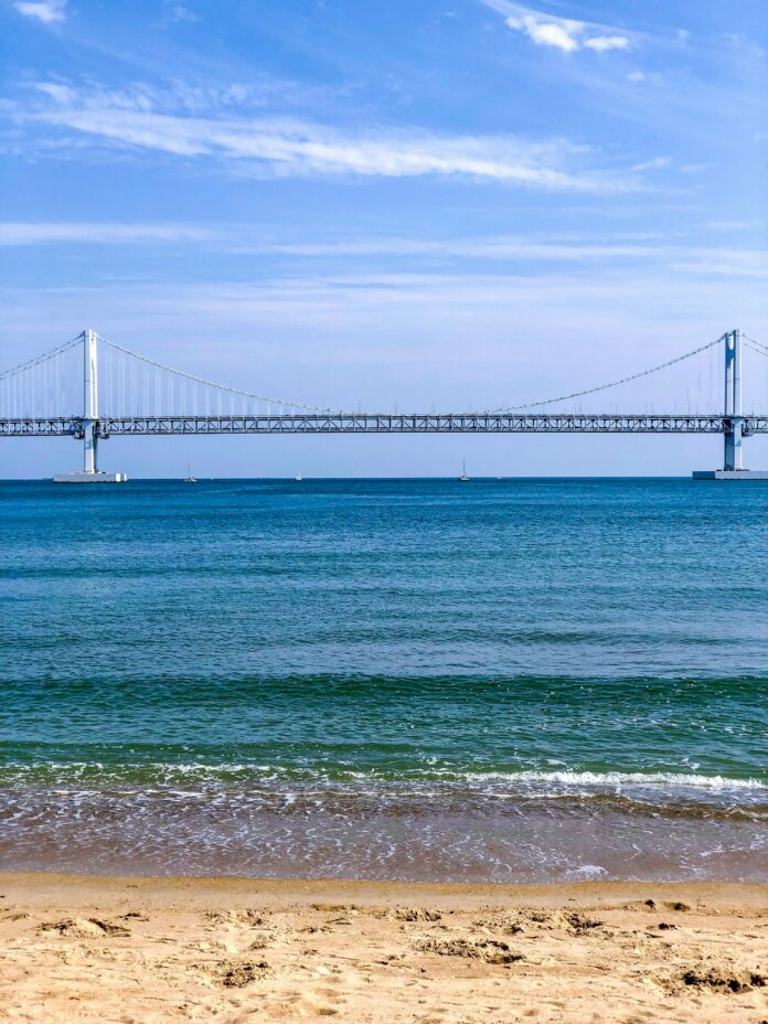 suyeon-jeong-nFSbsPFB5XM-unsplash