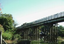 ‘DMZ 테마노선’ 10곳 개방…민통선 북쪽 천혜의 자연환경 체험 a bridge over a body of water next to a lush green forest