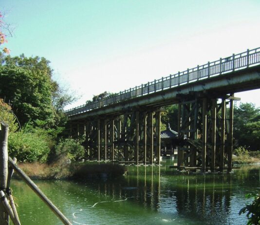 ‘DMZ 테마노선’ 10곳 개방…민통선 북쪽 천혜의 자연환경 체험 a bridge over a body of water next to a lush green forest