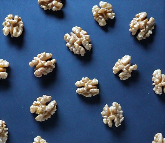 뇌 건강을 위한 식단 조언 white and brown flower petals