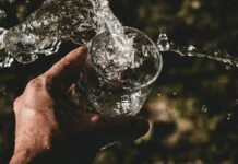건강한 간을 위한 디톡스 식단 person holding drinking glass filled with water