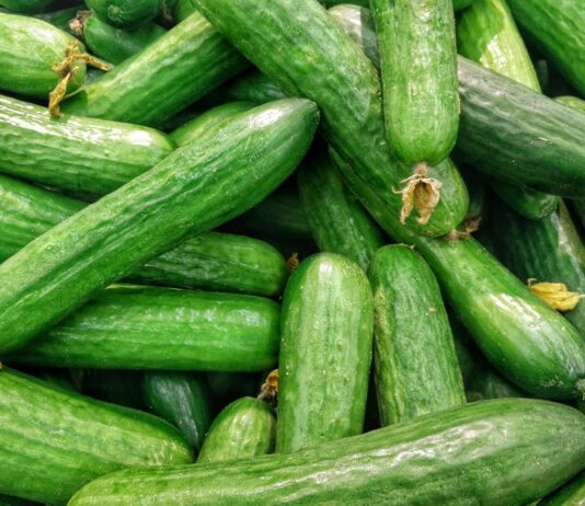 여름철 건강한 간식 선택법 cucumber lot