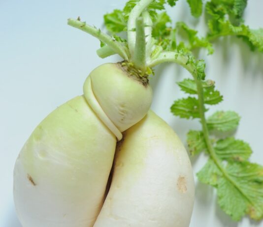 제철 채소로 준비하는 건강한 한 끼 white garlic on white surface