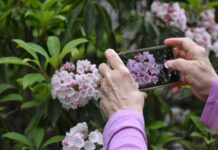 스트레스 해소를 위한 취미 활동