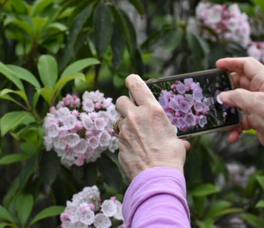 스트레스 해소를 위한 취미 활동