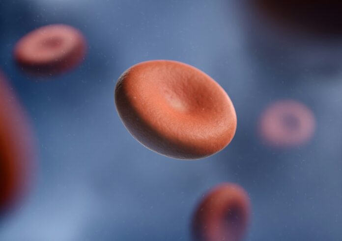 Photo by digitale.de a group of red blood cells in a vein