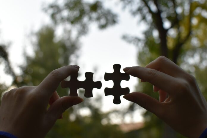 Photo by Vardan Papikyan a person holding two pieces of a puzzle
