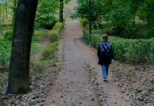 일상 속 스트레스, 작은 변화가 해답… 실천 가능한 관리법 주목 a person walking down a path in the woods