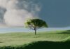바쁜 일상 속 ‘마음챙김’이 뜬다… 실생활에서 실천하는 정신건강 루틴 A single tree on a vibrant green rolling hill.