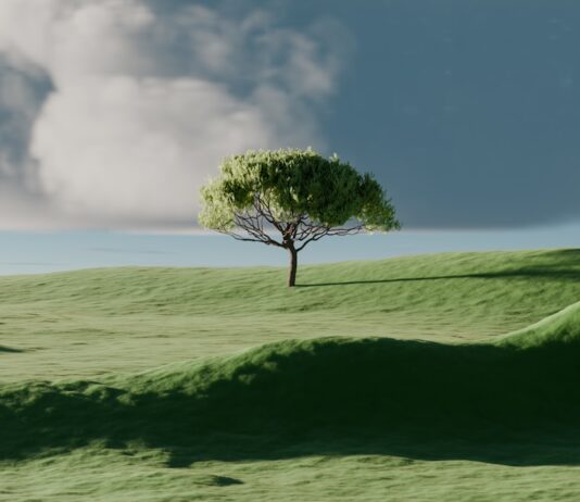 바쁜 일상 속 ‘마음챙김’이 뜬다… 실생활에서 실천하는 정신건강 루틴 A single tree on a vibrant green rolling hill.