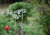 집에서 쉽게 실천하는 ‘마음챙김’ 루틴, 일상의 스트레스 줄이는 비결 a sign that is in the grass near a flower