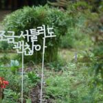 집에서 쉽게 실천하는 ‘마음챙김’ 루틴, 일상의 스트레스 줄이는 비결 a sign that is in the grass near a flower