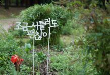 집에서 쉽게 실천하는 ‘마음챙김’ 루틴, 일상의 스트레스 줄이는 비결 a sign that is in the grass near a flower